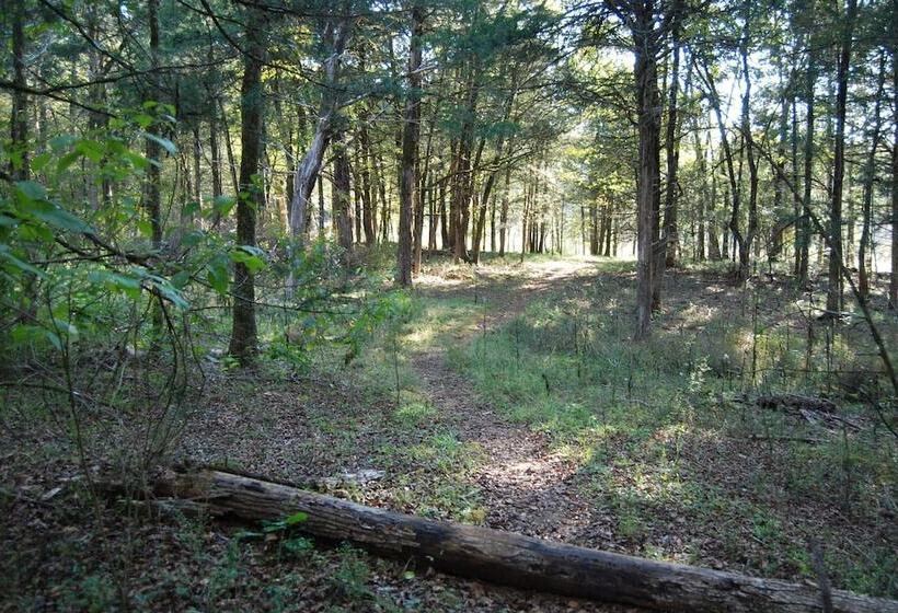 The Colonels B&b And Inn