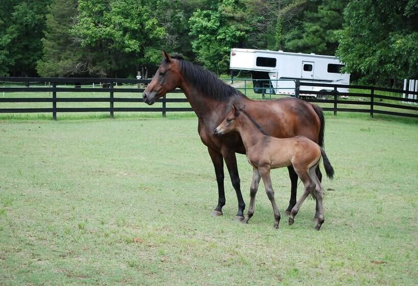 The Colonels B&b And Inn