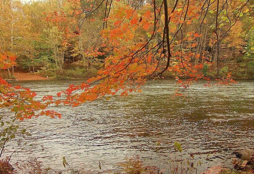 ベッドアンドブレックファースト Paddler S Lane Retreat