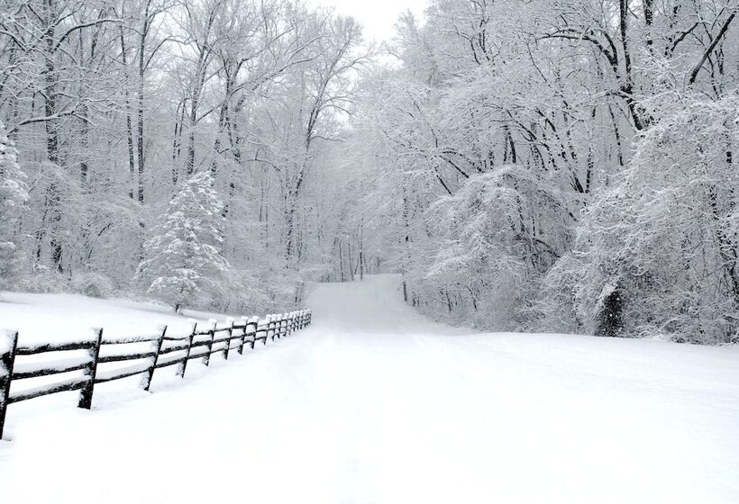 ベッドアンドブレックファースト Paddler S Lane Retreat