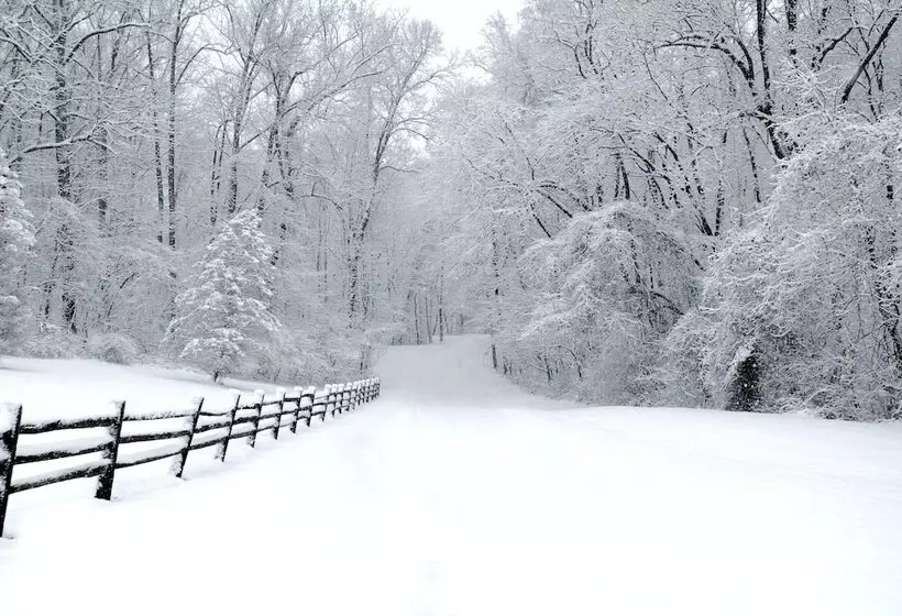 Aamiaismajoitus (B&B) Paddler S Lane Retreat