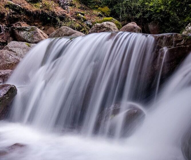 ベッドアンドブレックファースト Paddler S Lane Retreat