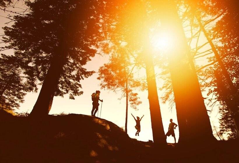 ベッドアンドブレックファースト Paddler S Lane Retreat