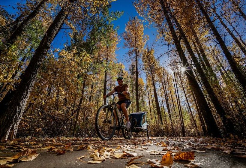 ベッドアンドブレックファースト Paddler S Lane Retreat