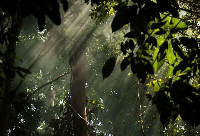 Belum Adventure Camp Hostel