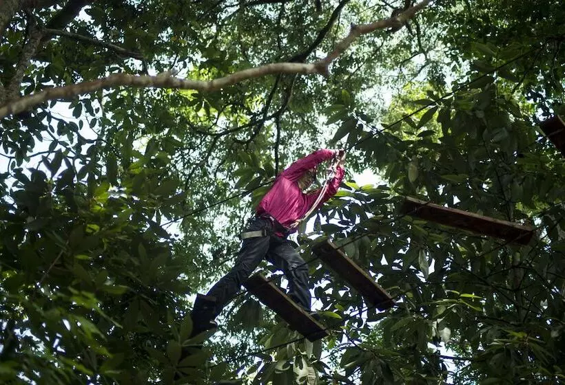 Belum Adventure Camp   Hostel