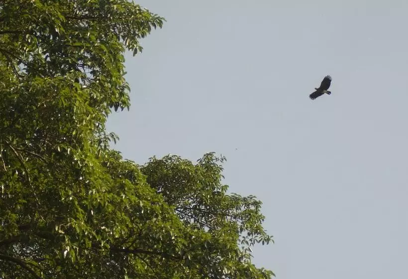 Belum Adventure Camp   Hostel