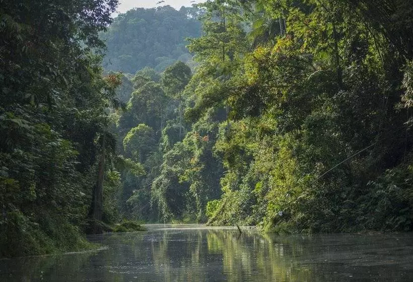 Belum Adventure Camp   Hostel