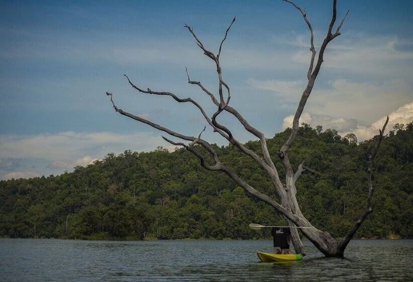 Belum Adventure Camp Hostel