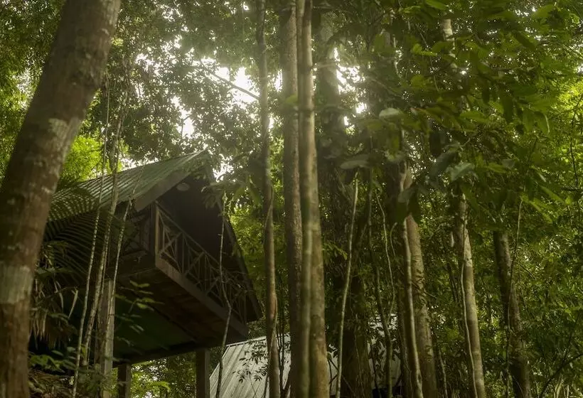 Belum Adventure Camp   Hostel