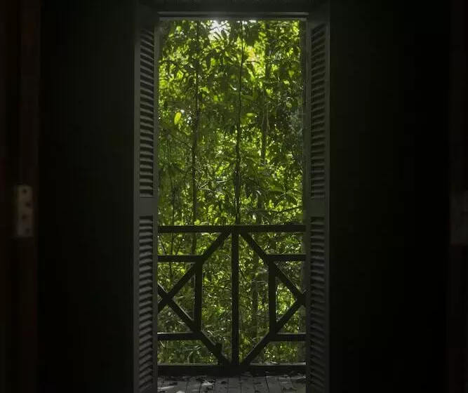 Belum Adventure Camp   Hostel