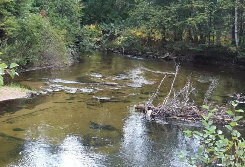 Cabins On Maple River