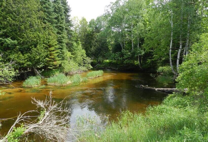 Cabins On Maple River