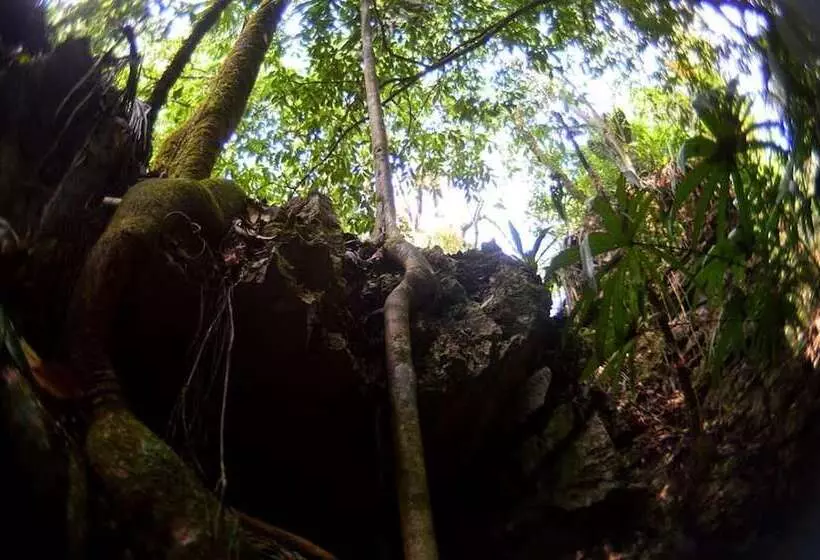 Hotelli Ecolodge Las Nubes Chiapas