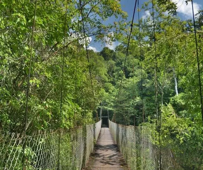 Hotelli Ecolodge Las Nubes Chiapas