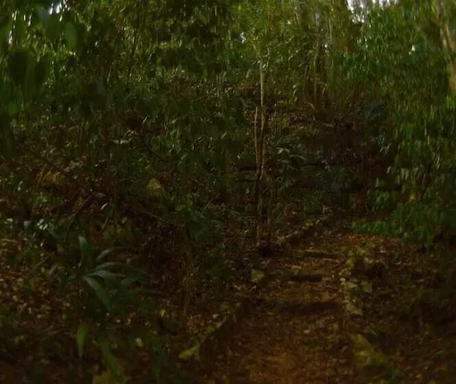 Hotelli Ecolodge Las Nubes Chiapas