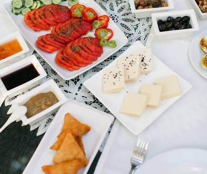 בית מלון כפרי Hydas Pansiyon