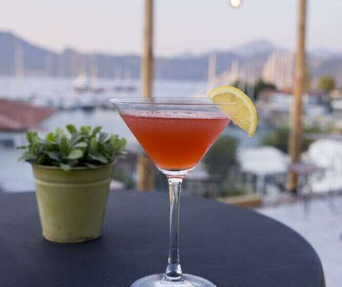 בית מלון כפרי Hydas Pansiyon