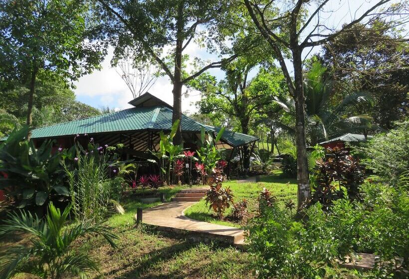 Отель Oasis De Las Palmas