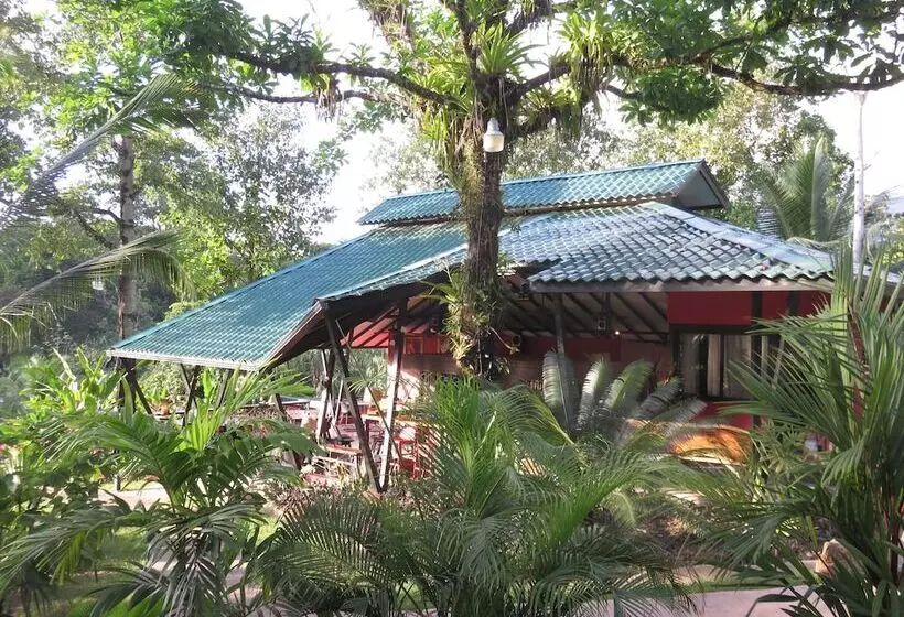 Hotelli Oasis De Las Palmas