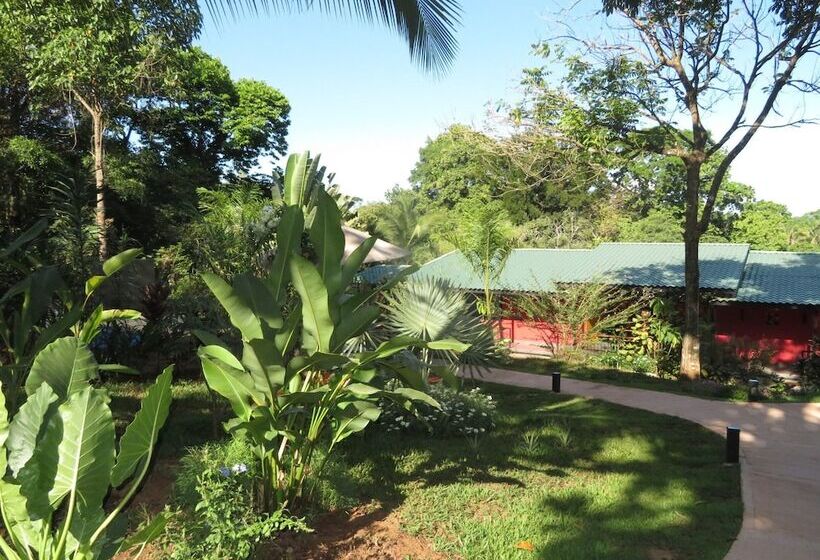 Отель Oasis De Las Palmas