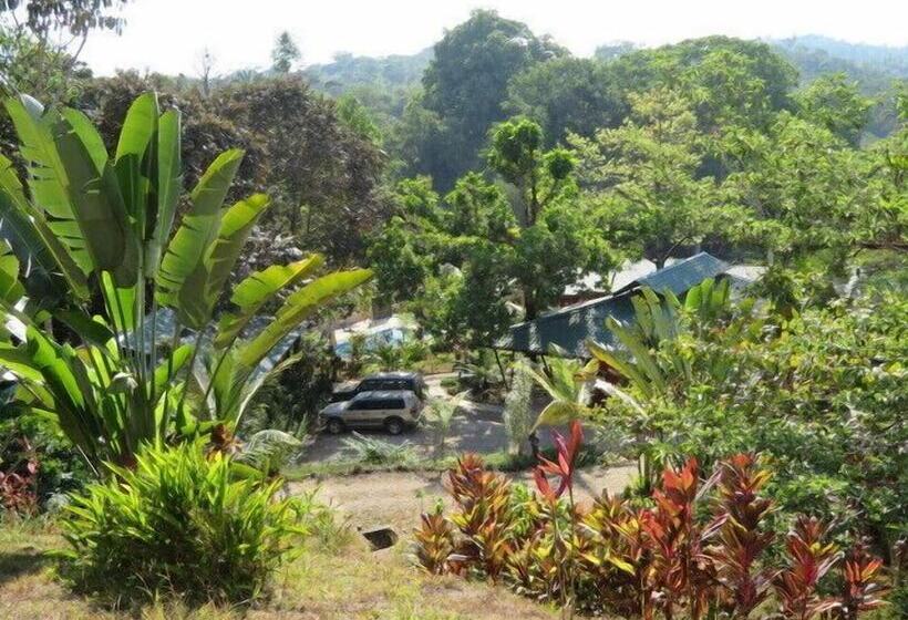 Отель Oasis De Las Palmas