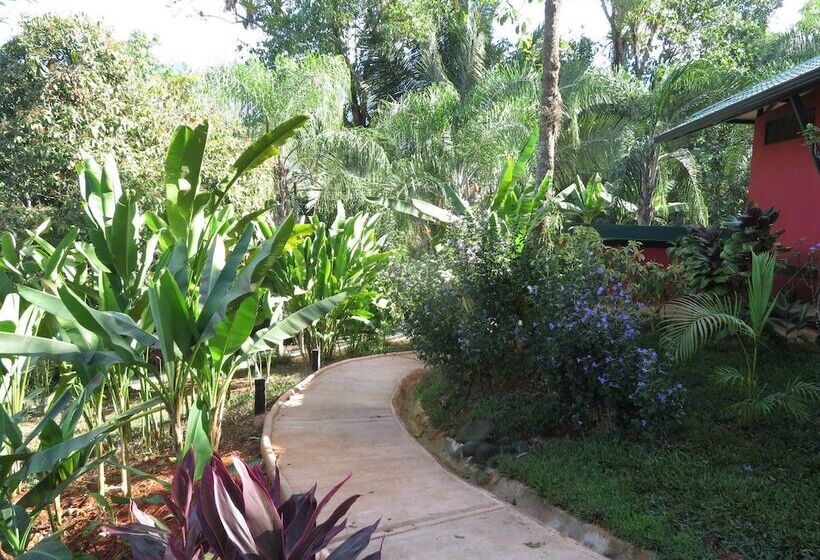 Отель Oasis De Las Palmas