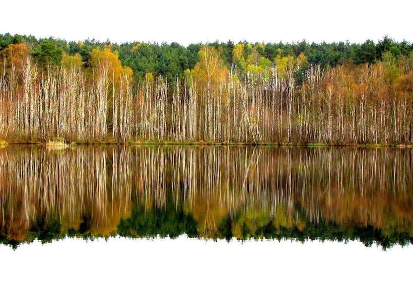 ホテル Rezydencja Nad Jeziorem Pestkownica