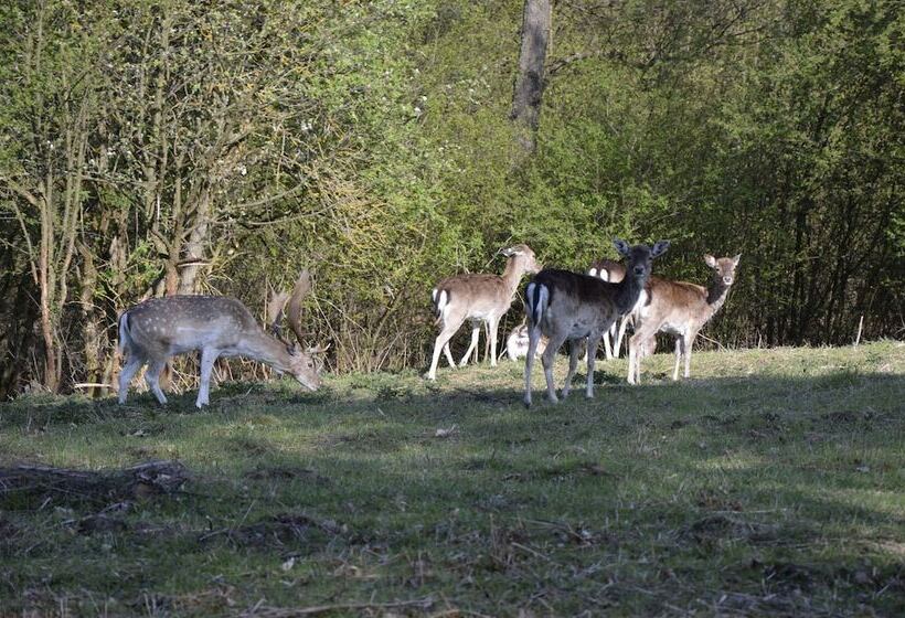 ホテル Rezydencja Nad Jeziorem Pestkownica