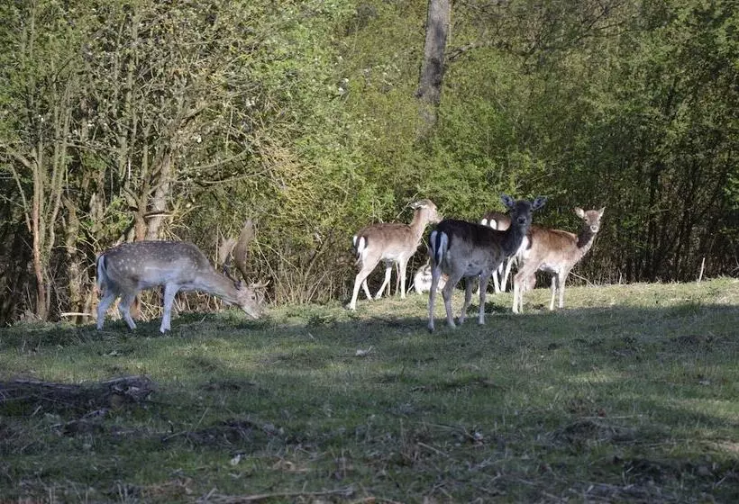 Hotelli Rezydencja Nad Jeziorem   Pestkownica