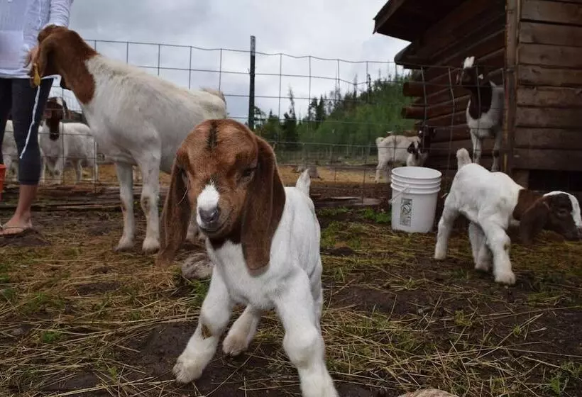 Maaseutuhotelli Aspen Canyon Ranch