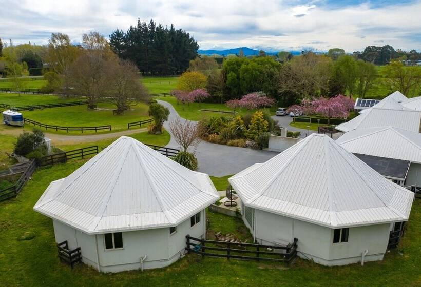 교외 호텔 Silverstream Alpaca Farmstay & Tour