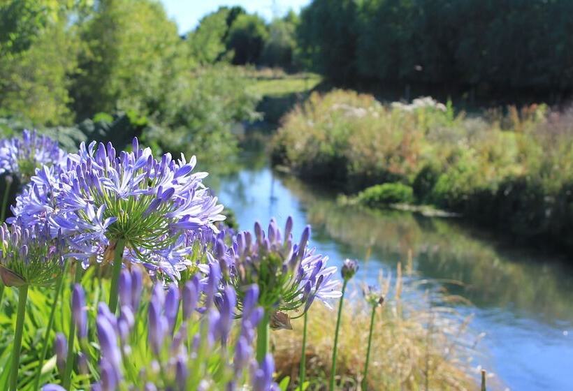 교외 호텔 Silverstream Alpaca Farmstay & Tour