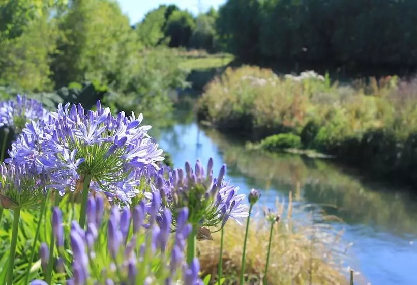 Maaseutuhotelli Silverstream Alpaca Farmstay & Tour