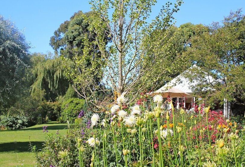 교외 호텔 Silverstream Alpaca Farmstay & Tour