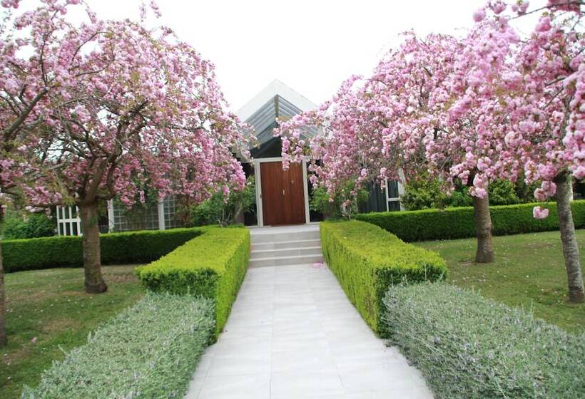 교외 호텔 Silverstream Alpaca Farmstay & Tour