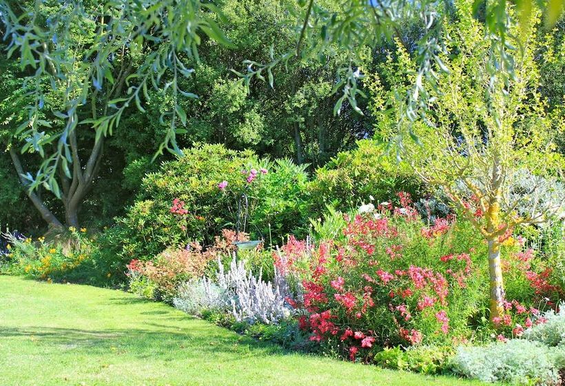 교외 호텔 Silverstream Alpaca Farmstay & Tour