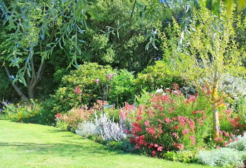 Maaseutuhotelli Silverstream Alpaca Farmstay & Tour