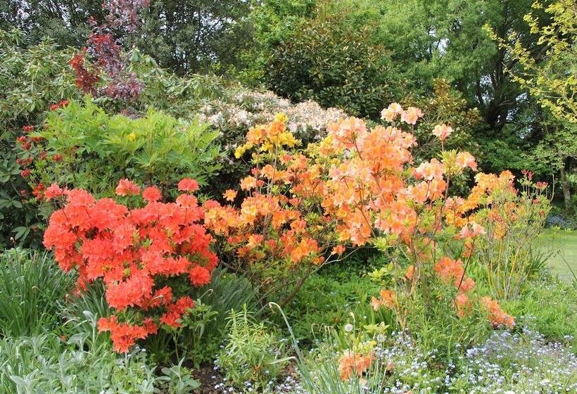 교외 호텔 Silverstream Alpaca Farmstay & Tour