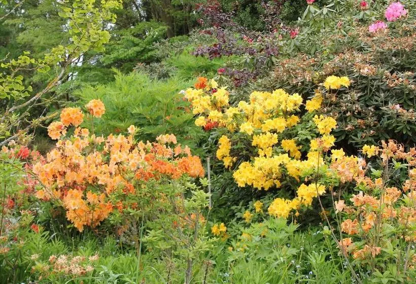 Maaseutuhotelli Silverstream Alpaca Farmstay & Tour