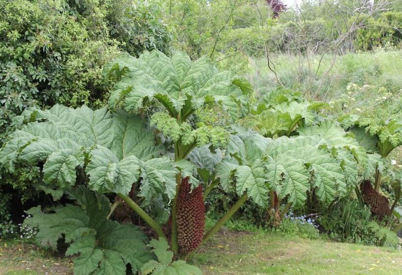 교외 호텔 Silverstream Alpaca Farmstay & Tour