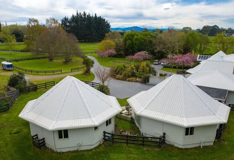 교외 호텔 Silverstream Alpaca Farmstay & Tour