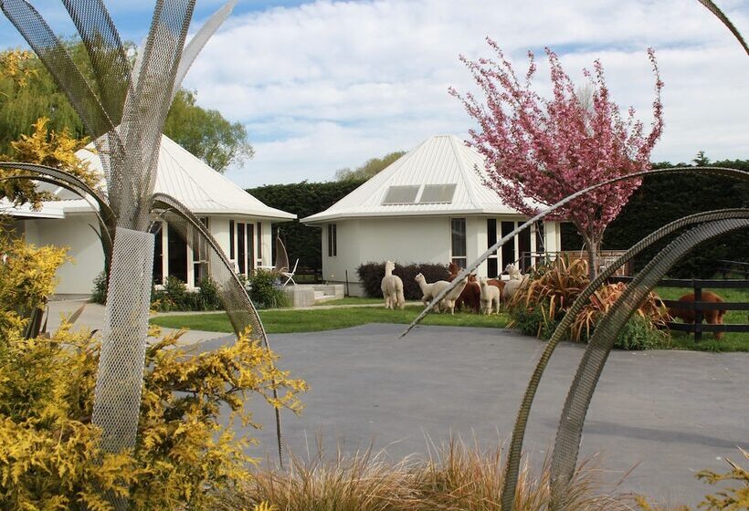 교외 호텔 Silverstream Alpaca Farmstay & Tour