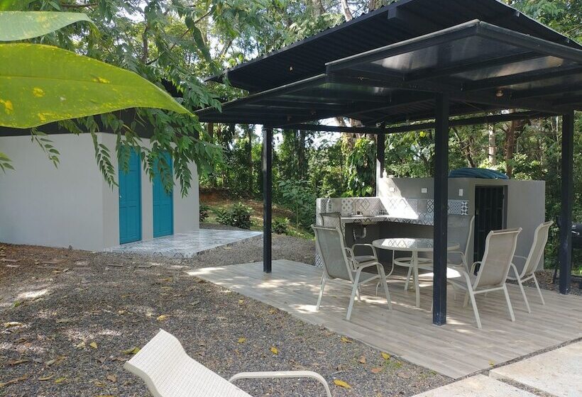 Отель Selva Color Forest & Beach Ecolodge