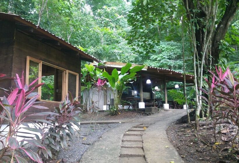 Отель Selva Color Forest & Beach Ecolodge