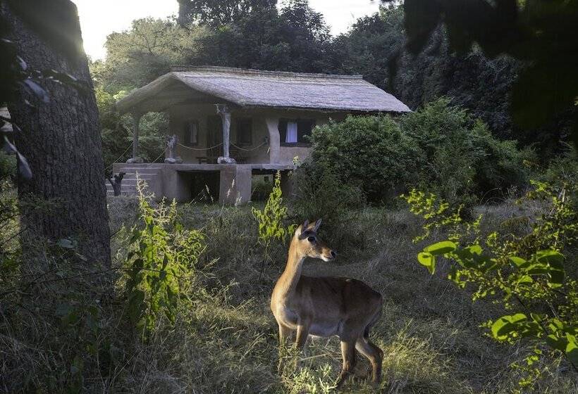 هتل Track And Trail River Camp