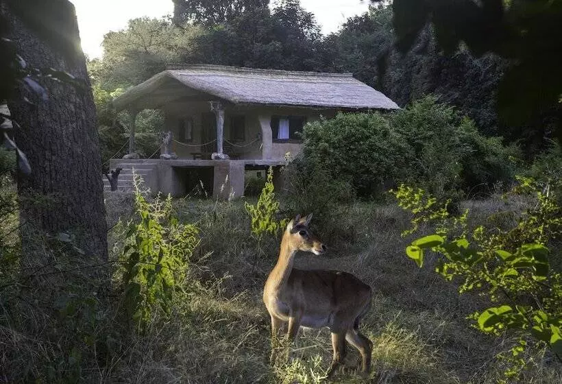 هتل Track And Trail River Camp