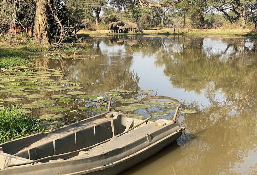 هتل Track And Trail River Camp