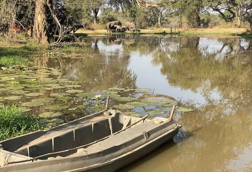 هتل Track And Trail River Camp