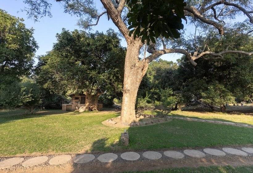 هتل Track And Trail River Camp